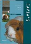 Cavia's